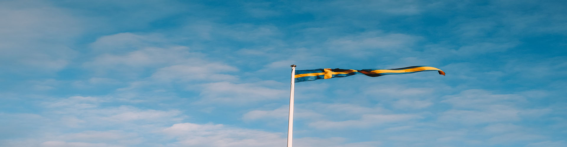 Ferry Overtocht Naar Trelleborg