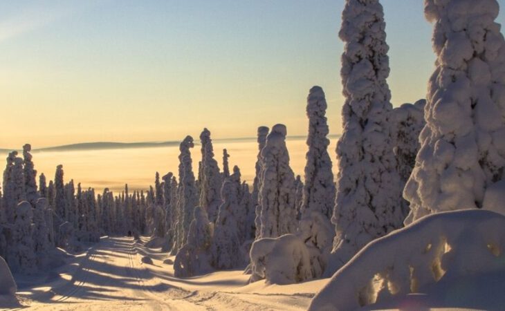 Nederland naar Finland